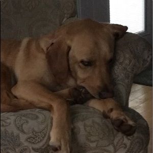 Meet your Posher, Andrew